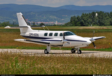 Cessna 303 Plane Tint
