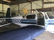 Load image into Gallery viewer, Mooney Plane Tint