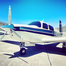 Load image into Gallery viewer, Mooney Plane Tint